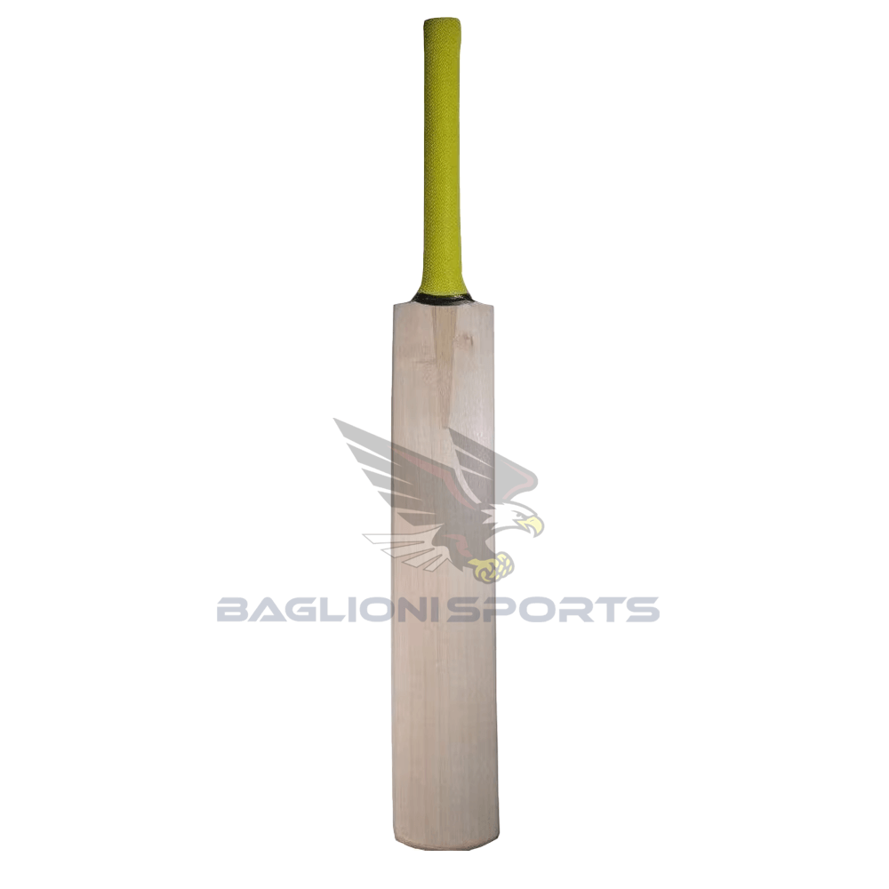 Premium Cricket Bat